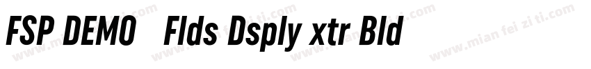 FSP DEMO   Flds Dsply xtr Bld Regul字体转换